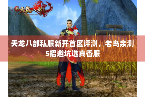 天龙八部私服新开首区评测，老鸟亲测5招避坑选真香服