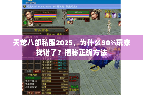 天龙八部私服2025，为什么90%玩家找错了？揭秘正确方法