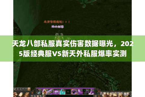 天龙八部私服真实伤害数据曝光,2025版经典服VS新天外私服爆率实测 天龙八部私服真实伤害数据曝光,2025版经典服VS新天外私服爆率实测