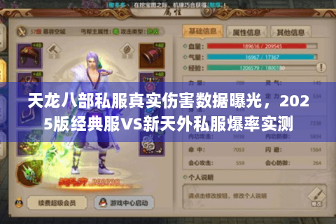天龙八部私服真实伤害数据曝光,2025版经典服VS新天外私服爆率实测 天龙八部私服真实伤害数据曝光,2025版经典服VS新天外私服爆率实测