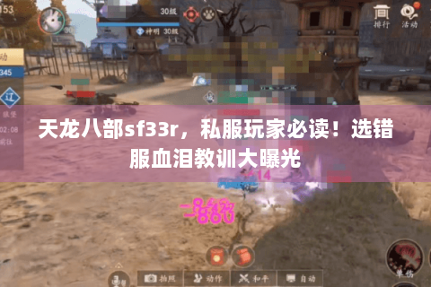 天龙八部sf33r,私服玩家必读!选错服血泪教训大曝光 天龙八部sf33r,私服玩家必读!选错服血泪教训大曝光