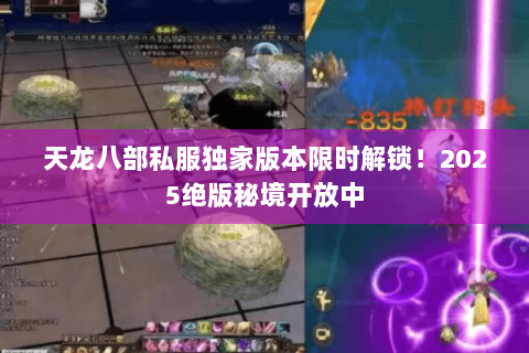 天龙八部私服独家版本限时解锁！2025绝版秘境开放中