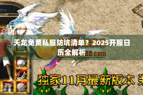 天龙免费私服防坑清单?2025开服日历全解析 天龙免费私服防坑清单?2025开服日历全解析