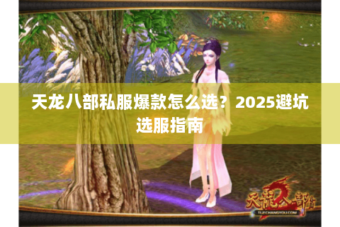 天龙八部私服爆款怎么选?2025避坑选服指南 天龙八部私服爆款怎么选?2025避坑选服指南