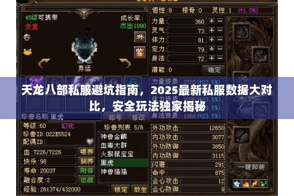 天龙八部私服避坑指南，2025最新私服数据大对比，安全玩法独家揭秘
