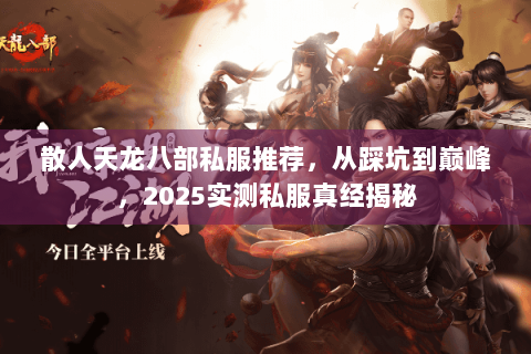 散人天龙八部私服推荐，从踩坑到巅峰，2025实测私服真经揭秘