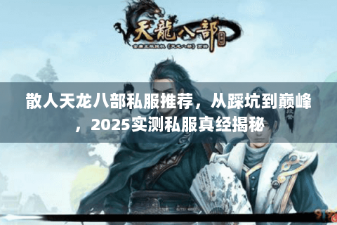 散人天龙八部私服推荐，从踩坑到巅峰，2025实测私服真经揭秘