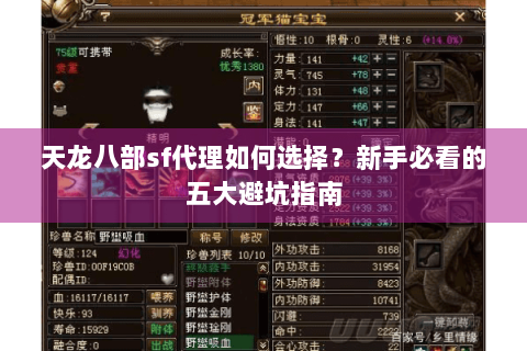 天龙八部sf代理如何选择？新手必看的五大避坑指南
