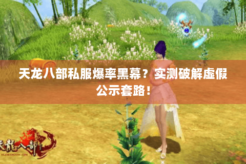 天龙八部私服爆率黑幕？实测破解虚假公示套路！