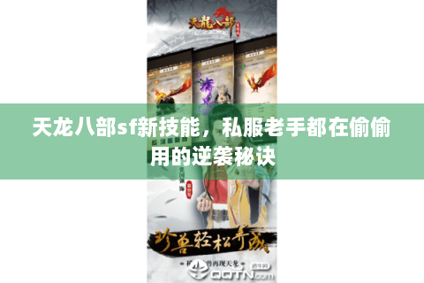 天龙八部sf新技能，私服老手都在偷偷用的逆袭秘诀
