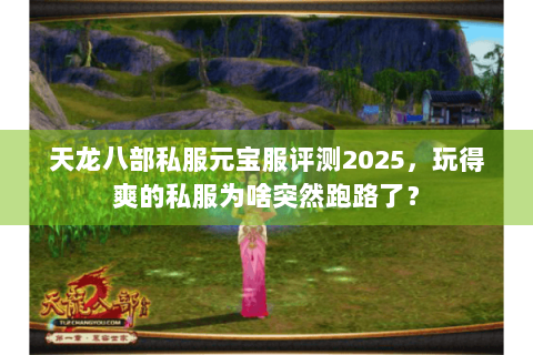 天龙八部私服元宝服评测2025，玩得爽的私服为啥突然跑路了？