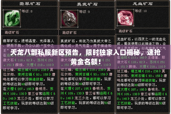 天龙八部私服新区预告，限时独家入口揭秘，速抢黄金名额！