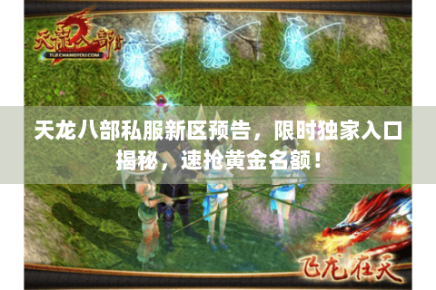 天龙八部私服新区预告，限时独家入口揭秘，速抢黄金名额！