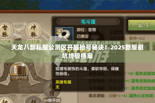天龙八部私服公测区开服抢号秘诀！2025新服避坑终极档案