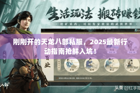 刚刚开的天龙八部私服，2025最新行动指南抢鲜入坑！