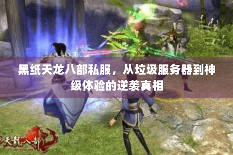 黑纸天龙八部私服，从垃圾服务器到神级体验的逆袭真相