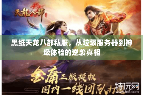 黑纸天龙八部私服，从垃圾服务器到神级体验的逆袭真相