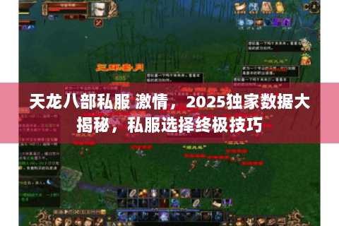 天龙八部私服 激情，2025独家数据大揭秘，私服选择终极技巧
