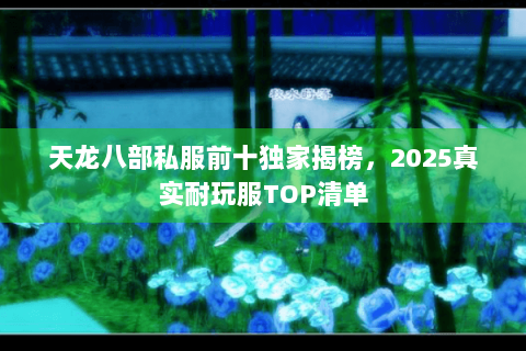 天龙八部私服前十独家揭榜，2025真实耐玩服TOP清单