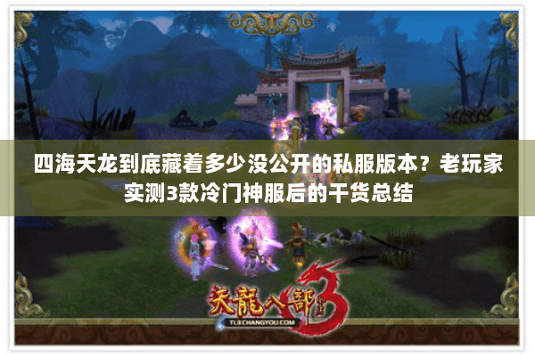 四海天龙到底藏着多少没公开的私服版本？老玩家实测3款冷门神服后的干货总结