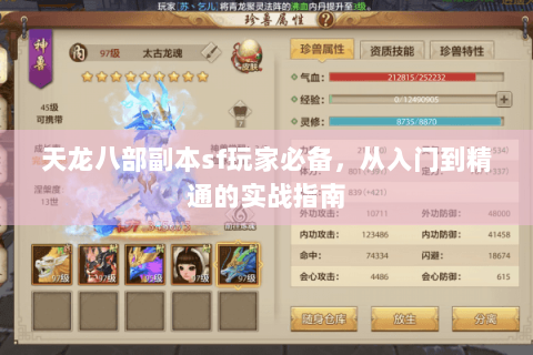 天龙八部副本sf玩家必备,从入门到精通的实战指南 天龙八部副本sf玩家必备,从入门到精通的实战指南