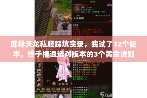武林天龙私服踩坑实录，我试了12个版本，终于摸透选对版本的3个黄金法则