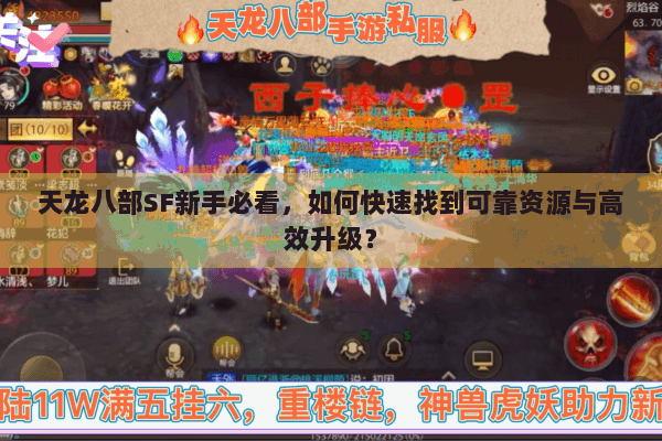 天龙八部SF新手必看，如何快速找到可靠资源与高效升级？
