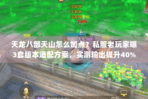 天龙八部天山怎么加点？私服老玩家曝3套版本适配方案，实测输出提升40%