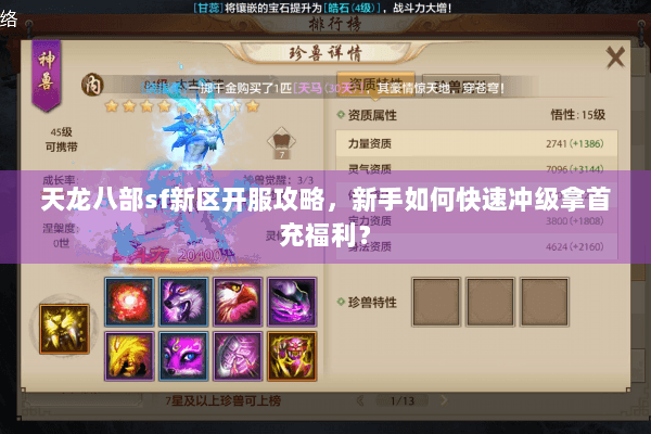 天龙八部sf新区开服攻略，新手如何快速冲级拿首充福利？