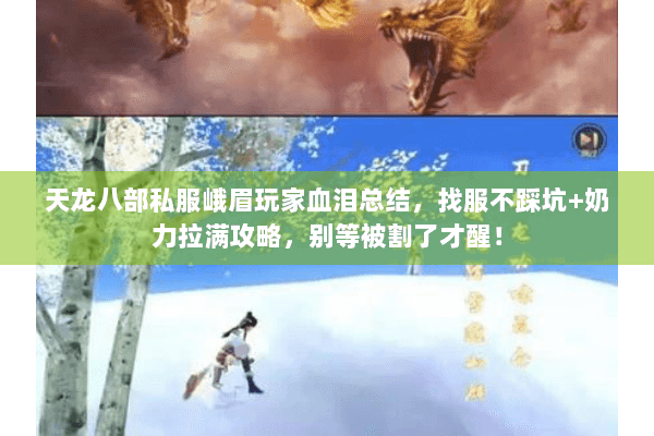 天龙八部私服峨眉玩家血泪总结，找服不踩坑+奶力拉满攻略，别等被割了才醒！