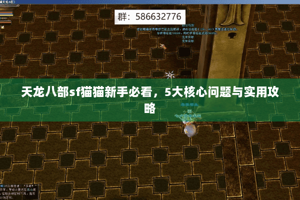 天龙八部sf猫猫新手必看，5大核心问题与实用攻略