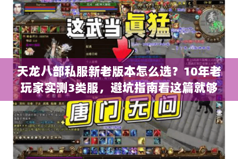 天龙八部私服新老版本怎么选？10年老玩家实测3类服，避坑指南看这篇就够