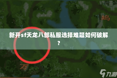 新开sf天龙八部私服选择难题如何破解？