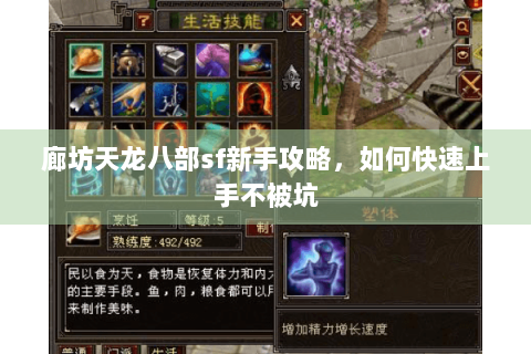 廊坊天龙八部sf新手攻略，如何快速上手不被坑