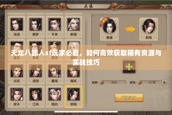 天龙八部人sf玩家必看，如何高效获取稀有资源与实战技巧