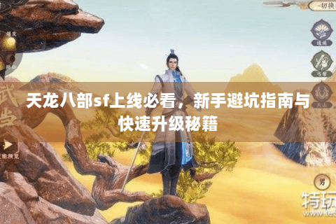 天龙八部sf上线必看，新手避坑指南与快速升级秘籍