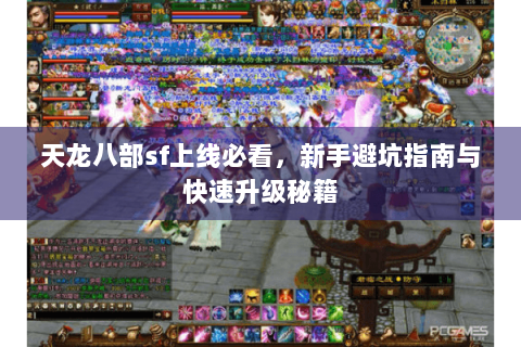 天龙八部sf上线必看，新手避坑指南与快速升级秘籍