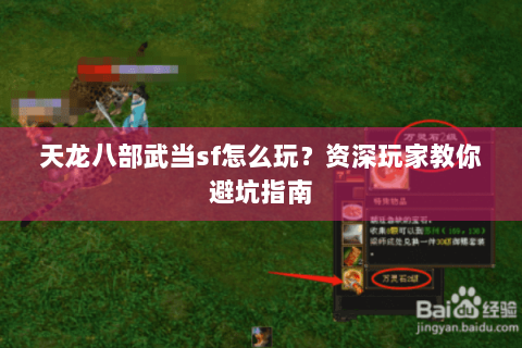 天龙八部武当sf怎么玩?资深玩家教你避坑指南 天龙八部武当sf怎么玩?资深玩家教你避坑指南