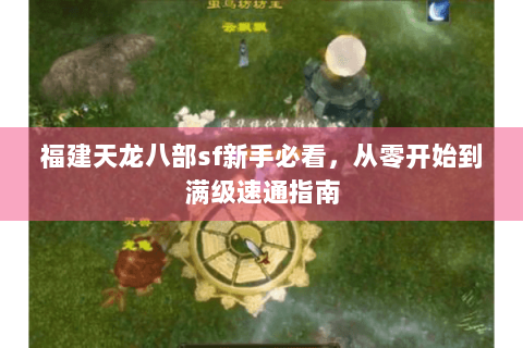 福建天龙八部sf新手必看，从零开始到满级速通指南