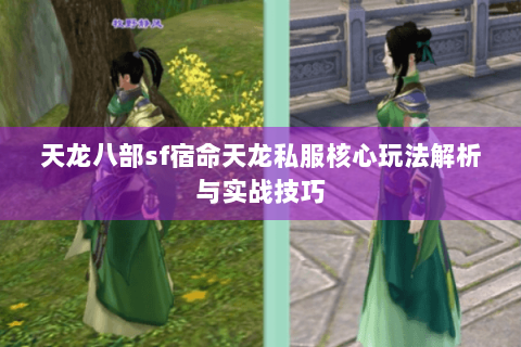 天龙八部sf宿命天龙私服核心玩法解析与实战技巧 天龙八部sf宿命天龙私服核心玩法解析与实战技巧