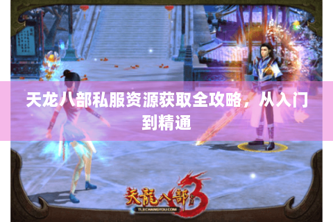 天龙八部私服资源获取全攻略,从入门到精通 天龙八部私服资源获取全攻略,从入门到精通