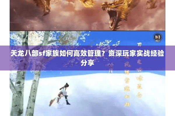 天龙八部sf家族如何高效管理?资深玩家实战经验分享 天龙八部sf家族如何高效管理?资深玩家实战经验分享