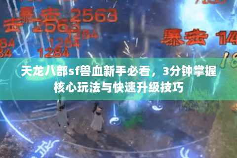 天龙八部sf兽血新手必看，3分钟掌握核心玩法与快速升级技巧