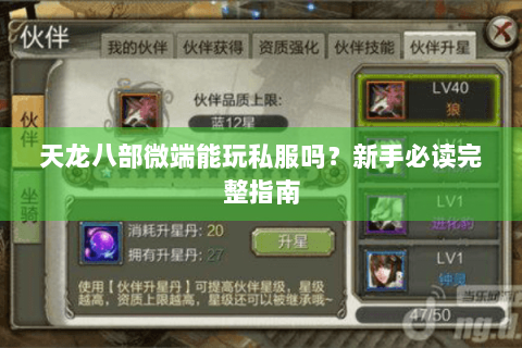 天龙八部微端能玩私服吗?新手必读完整指南 天龙八部微端能玩私服吗?新手必读完整指南