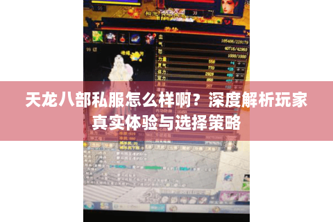 天龙八部私服怎么样啊？深度解析玩家真实体验与选择策略