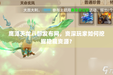 鹰潭天龙八部发布网,资深玩家如何挖掘隐藏资源? 鹰潭天龙八部发布网,资深玩家如何挖掘隐藏资源?
