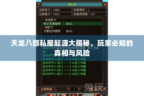天龙八部私服起源大揭秘,玩家必知的真相与风险 天龙八部私服起源大揭秘,玩家必知的真相与风险
