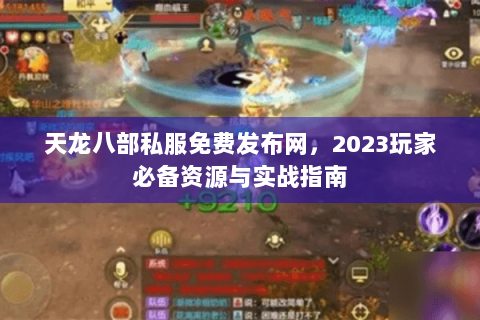 天龙八部私服免费发布网，2023玩家必备资源与实战指南