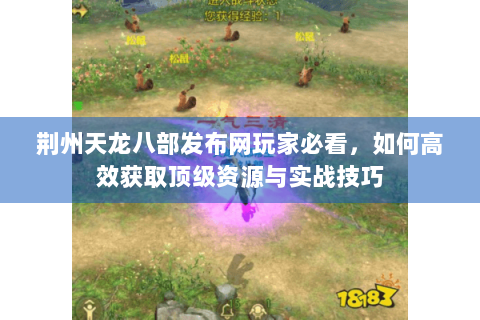 荆州天龙八部发布网玩家必看，如何高效获取顶级资源与实战技巧