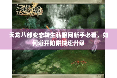 天龙八部变态转生私服网新手必看，如何避开陷阱快速升级